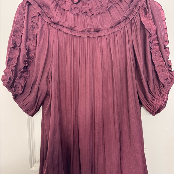 Anthropologie Plum Ruffled Blouse - Picture 2 of 6
